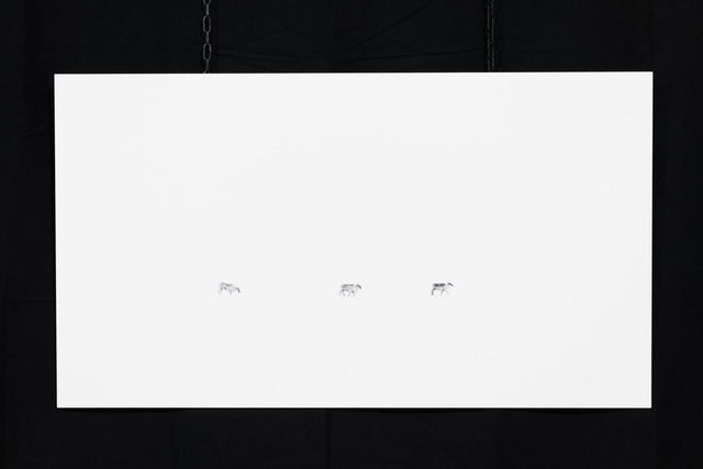 Photo &quot;La méfiance&quot; en grand format et très haute qualité