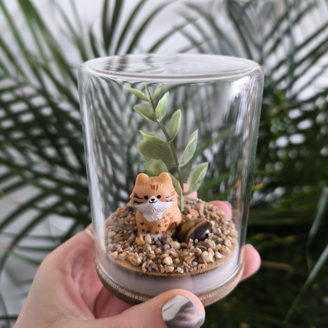 Ami protecteur - Chaton tacheté roux et blanc (oeil de tigre)