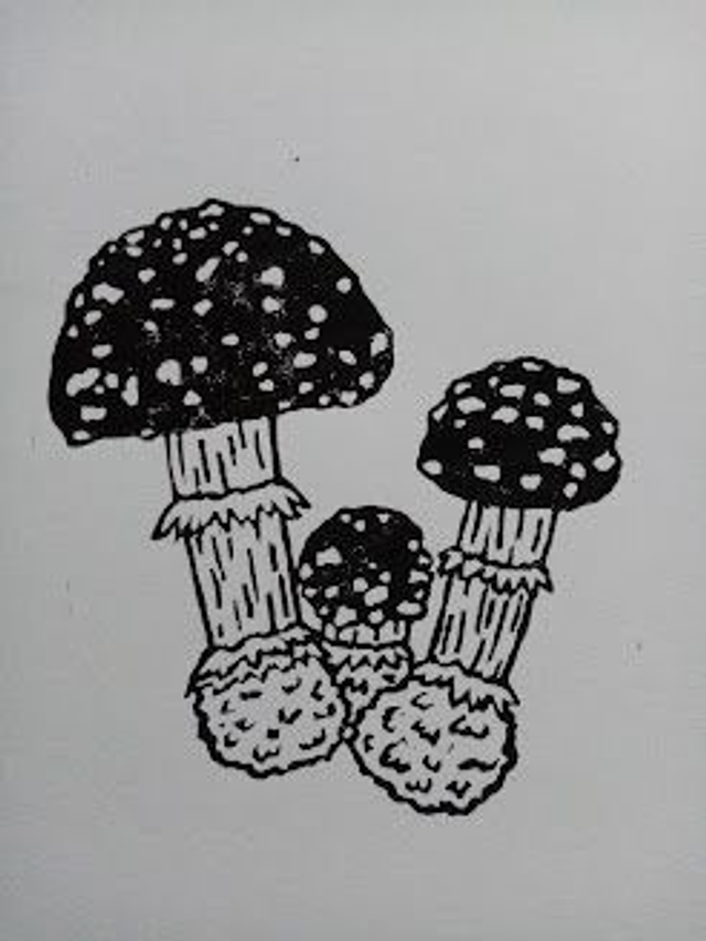 Panther Cap Mushroom