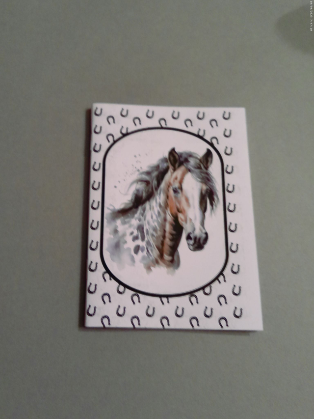 Carnet de note Quarter Horse