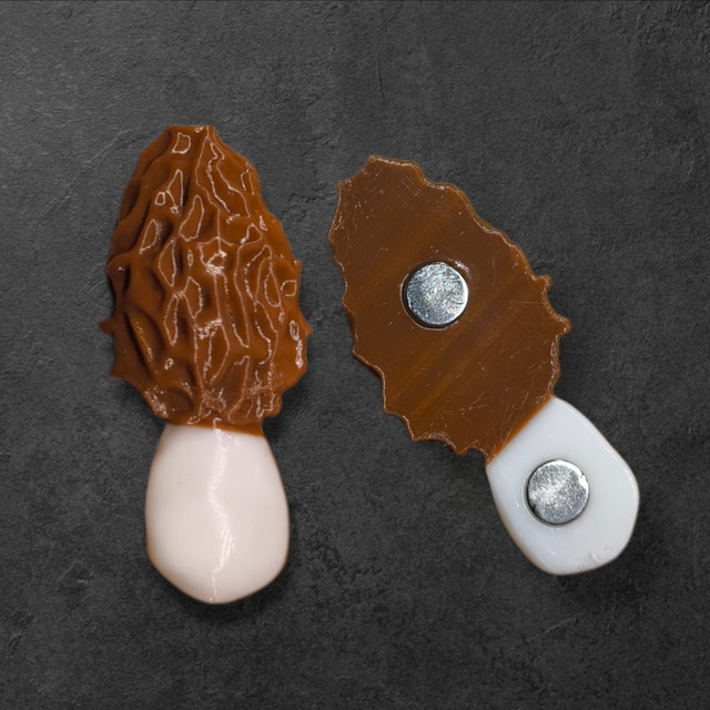 Magnet Morille 
