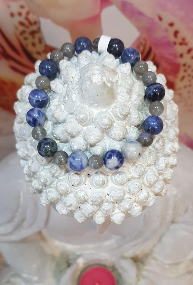 Bouclier énergétique, Rationalité 