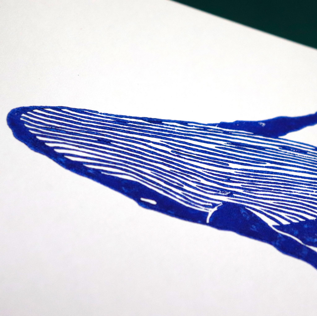 Linogravure A5 Baleine (5 coloris)