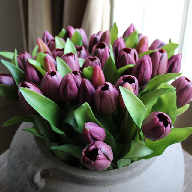 Tulp Purple 30cm 