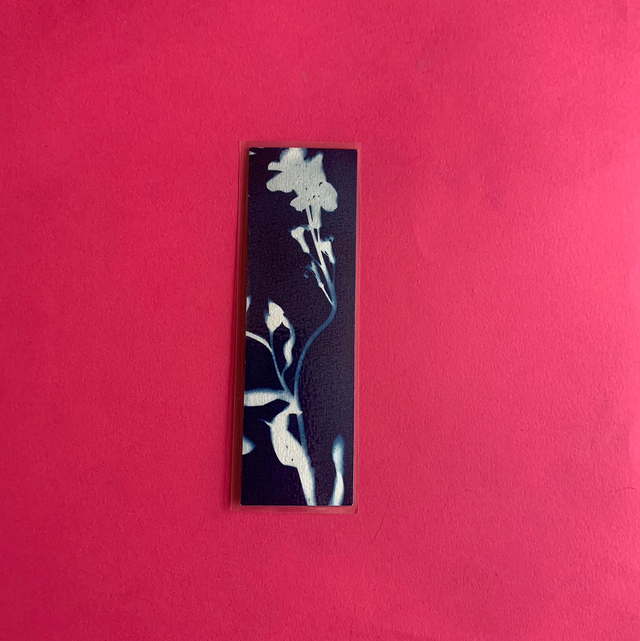 Marque page cyanotype végétal original sur papier épais et plastifié