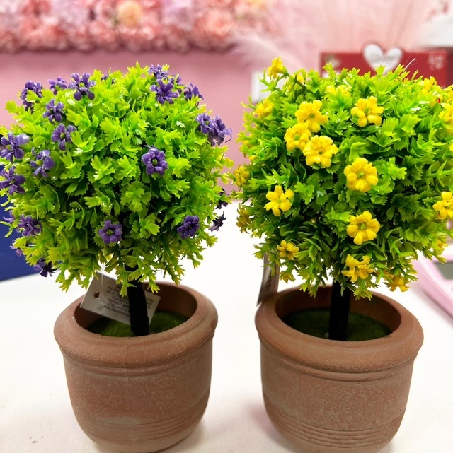 Fiorellini con vaso 10x20