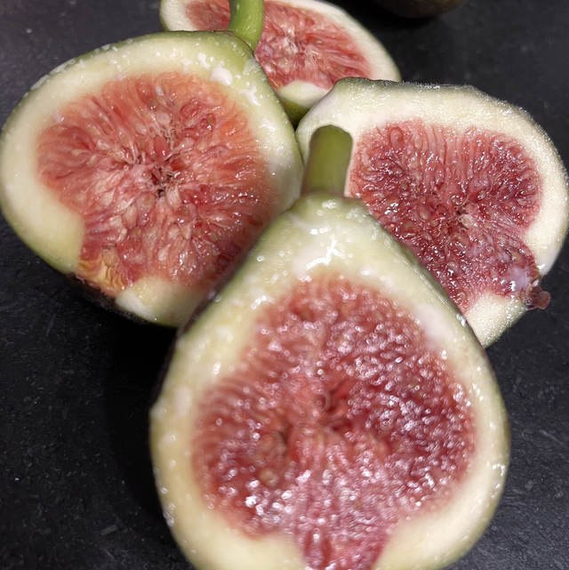 Figuier Brooklyn Dark - 1 an - racines nues