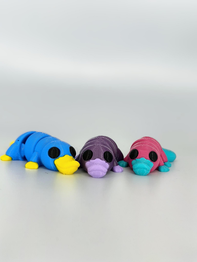 Pedro the Platypus Jnr