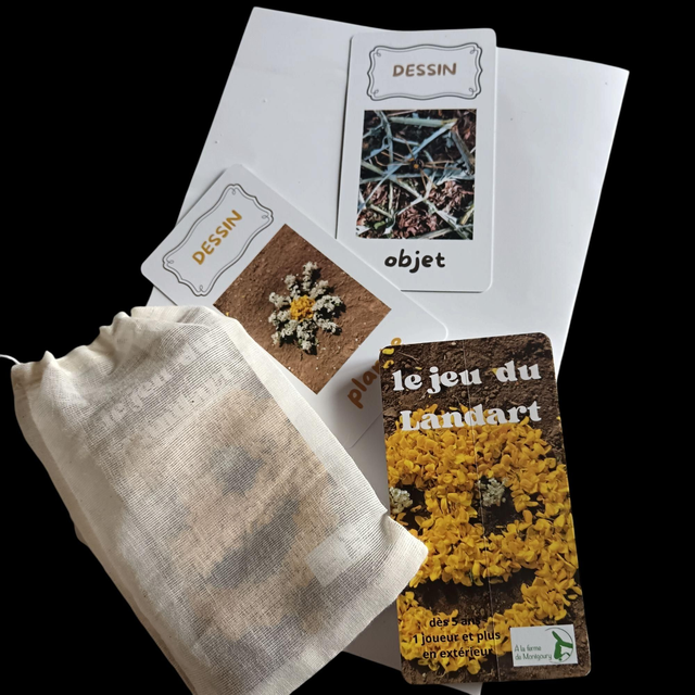 Le jeu du Landart 