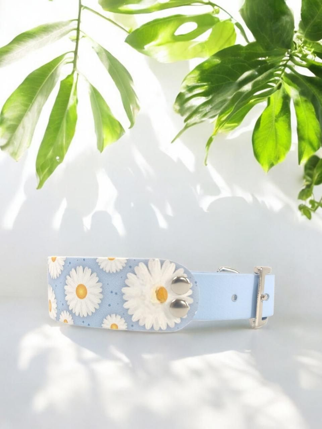 Collier pour chien en BioThane® Original USA. Daisy / Bleu Periwinkle 