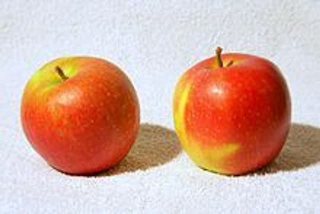 Pommes Jonagold - 1kg