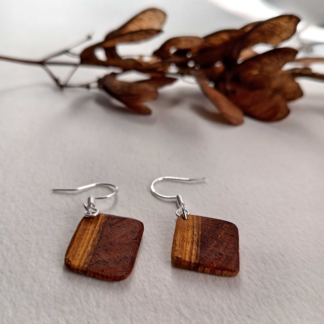 Boucles d&#039;oreilles