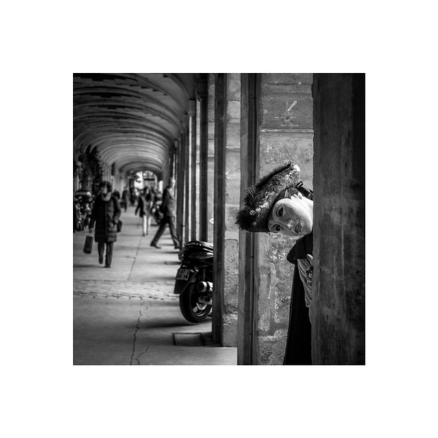 L’arlequin des Vosges