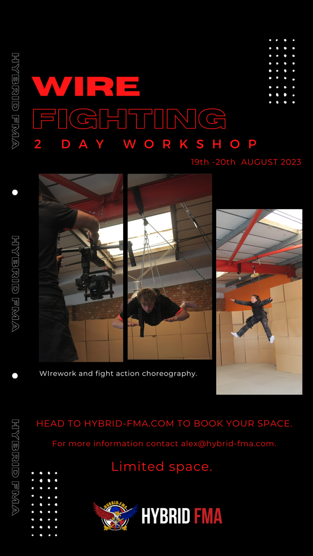 Wirework + Fighting Workshop 