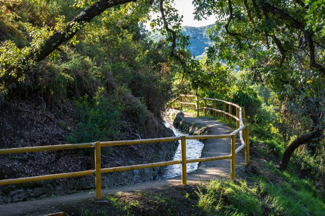 Acequias del Guadalmina