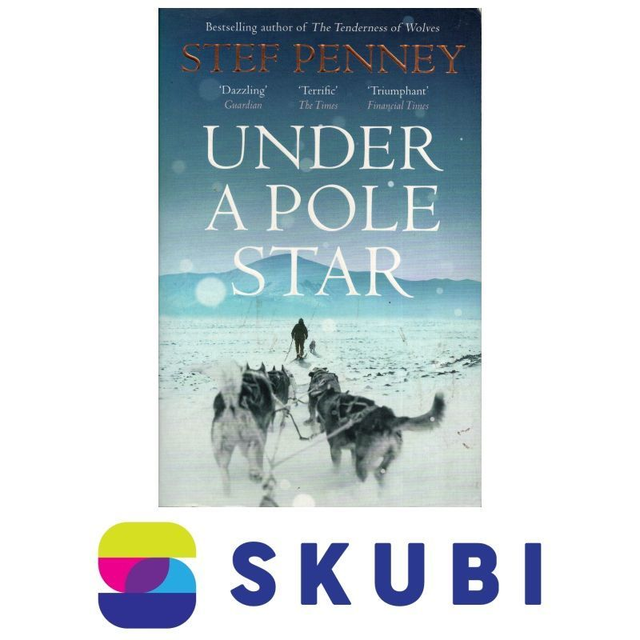 Kniha v angličtině - Under a Pole Star - Stef Penney - 9781786481191
