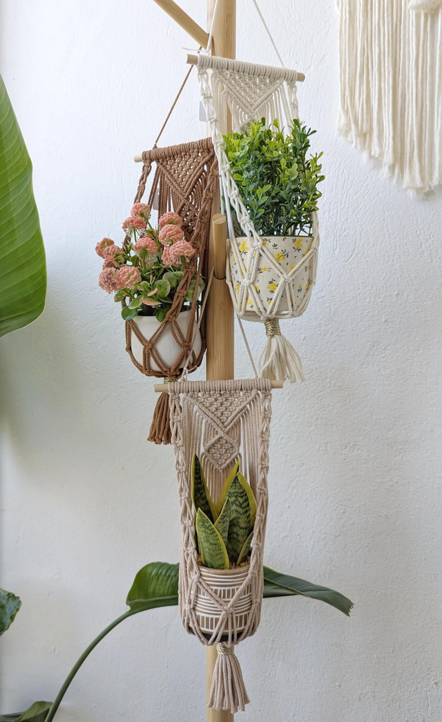 ENOLA Suspension pour plante