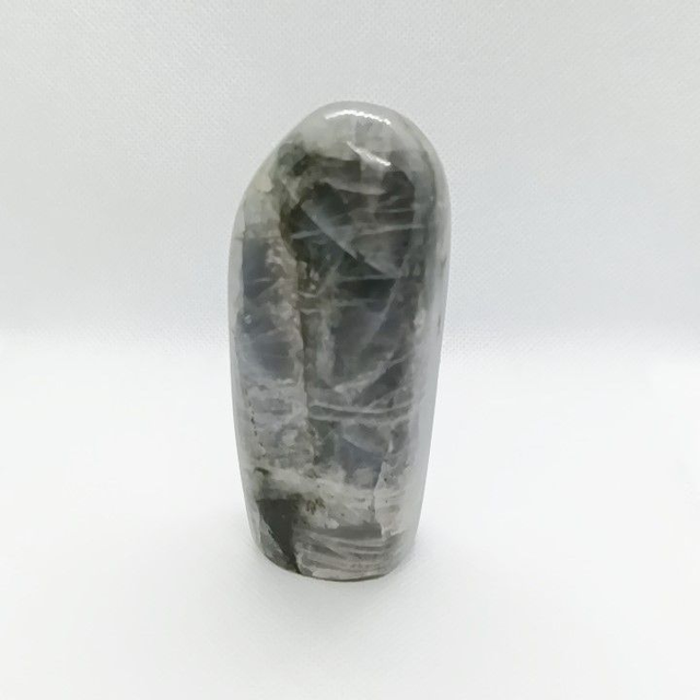 Labradorite - Type Spectrolite - Forme libre N° 1