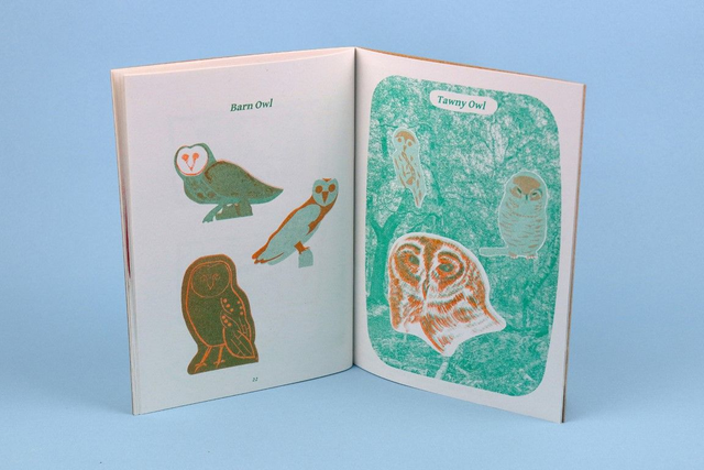 Shoreline, Skyline, Treetop Messenger