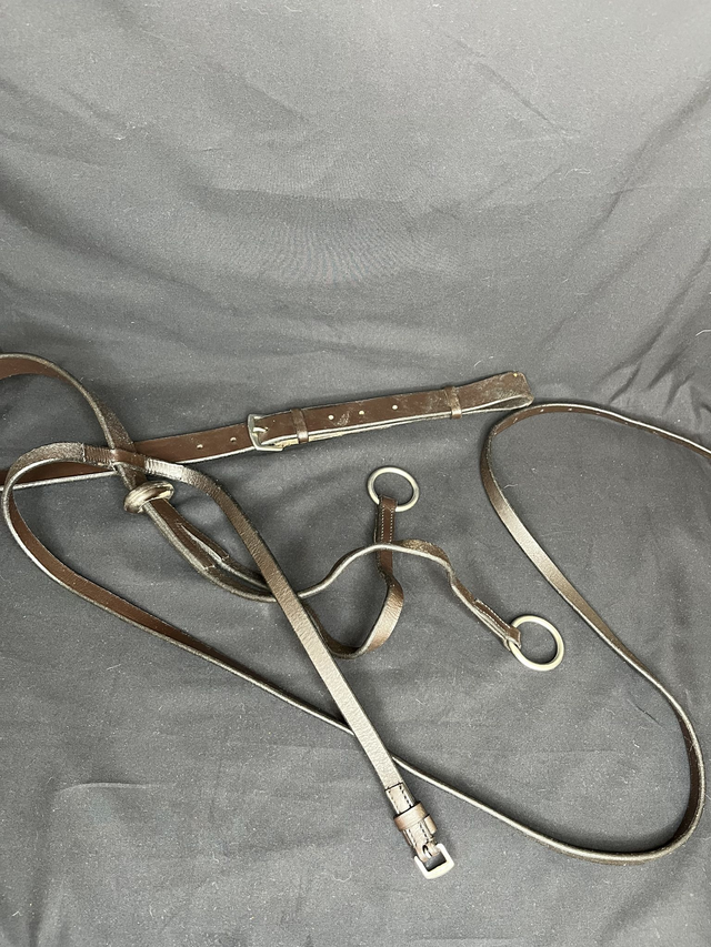 Martingale en cuir marron Cheval