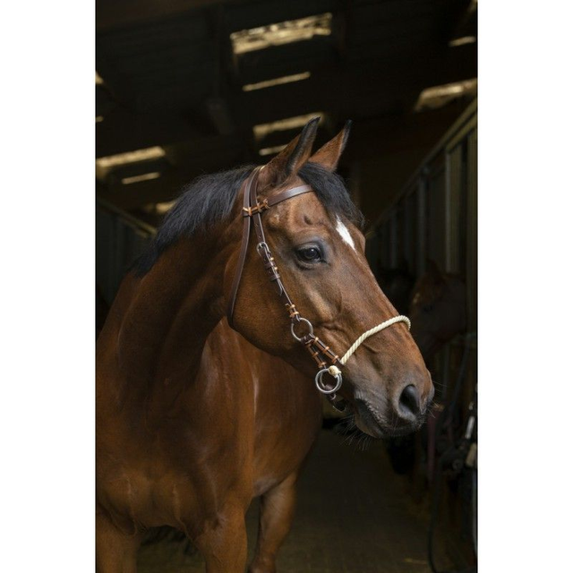 SIDE-PULL NORTON PRO "CORDE"