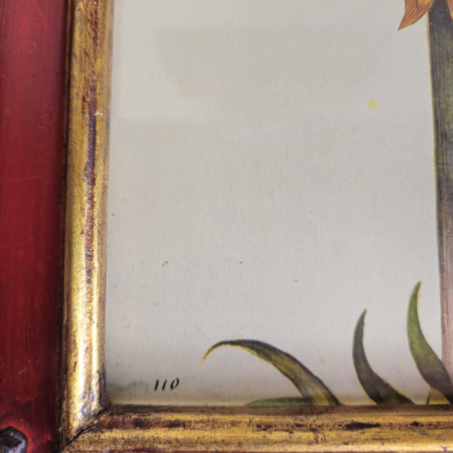 Reproduction d'une gravure ancienne encadrée sous verre