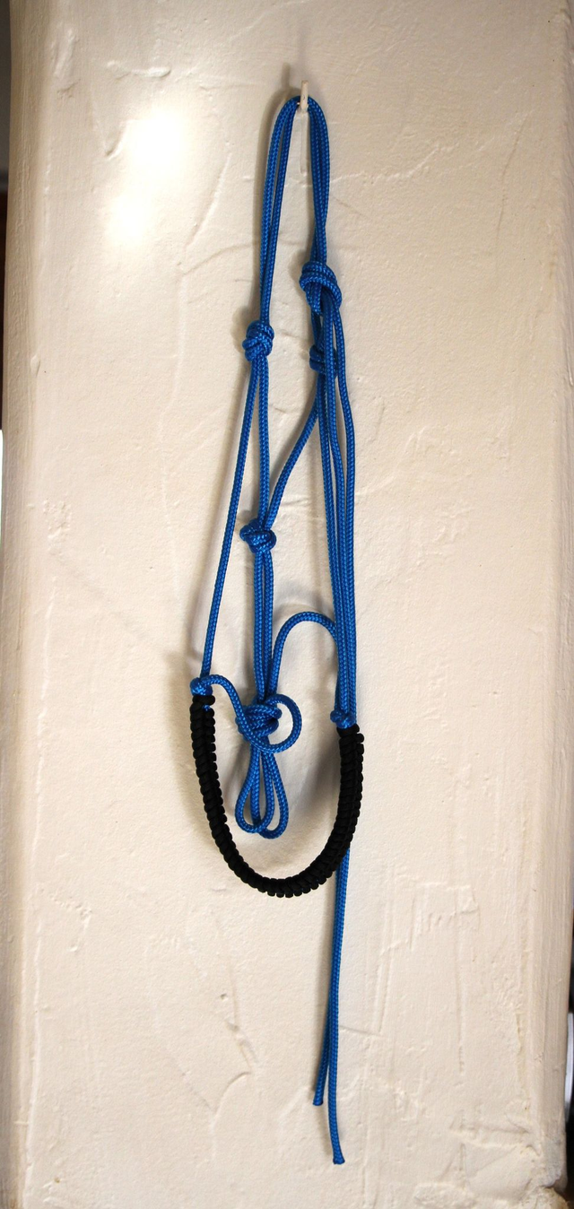 Licol éthologique bleu roi/noir 