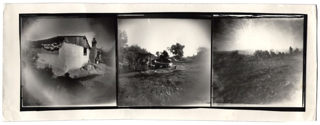 VERONICA SOTO CARVAJAL