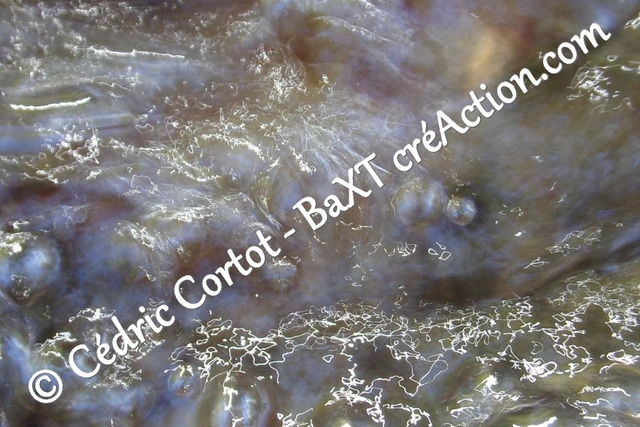 Impression sur alu dibond - Reflets et cours d'Eau (ref 100_2026)