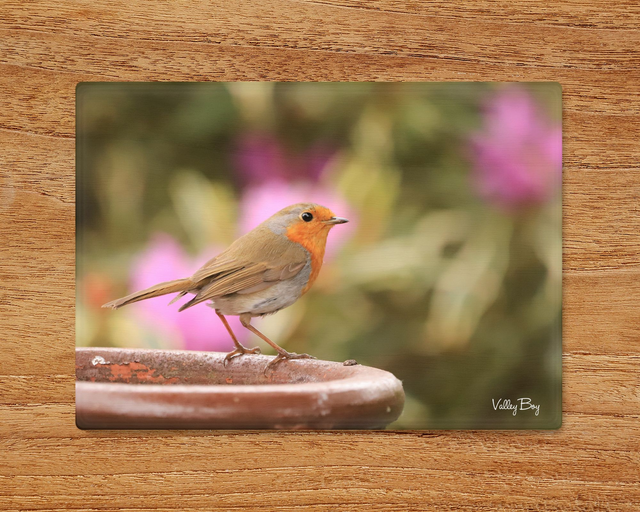 "Robby Robin" Glass Worktop Saver  