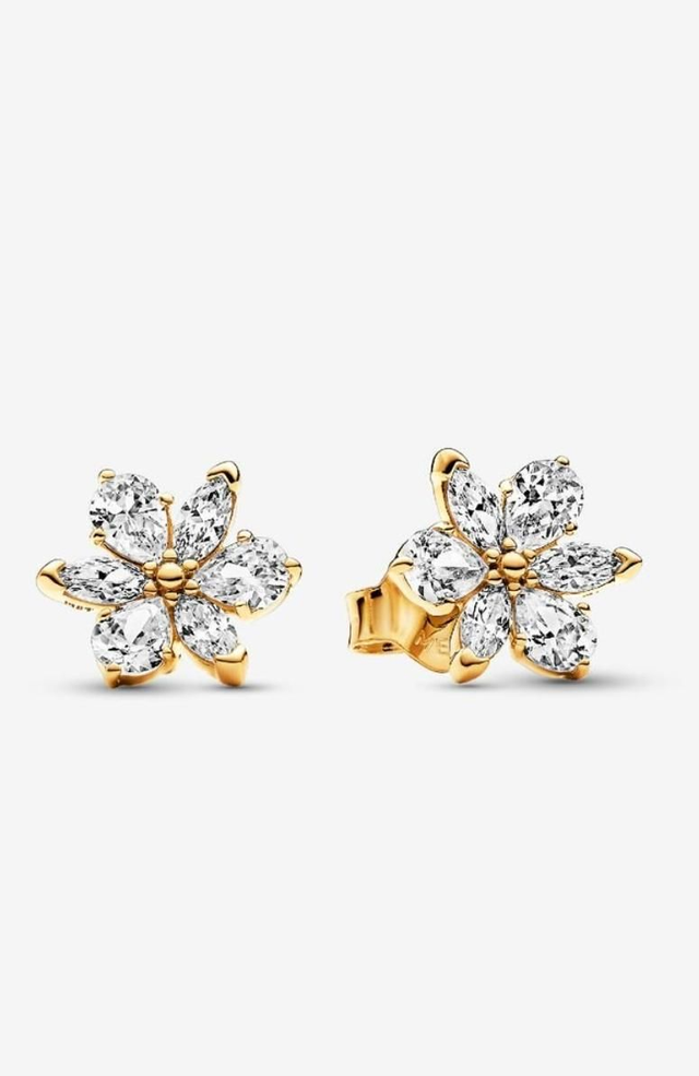 Clous d’Oreilles Herbier Scintillant
Métal Doré