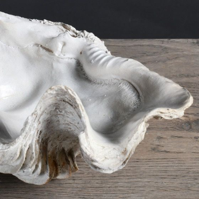 Bénitier Tricdana S