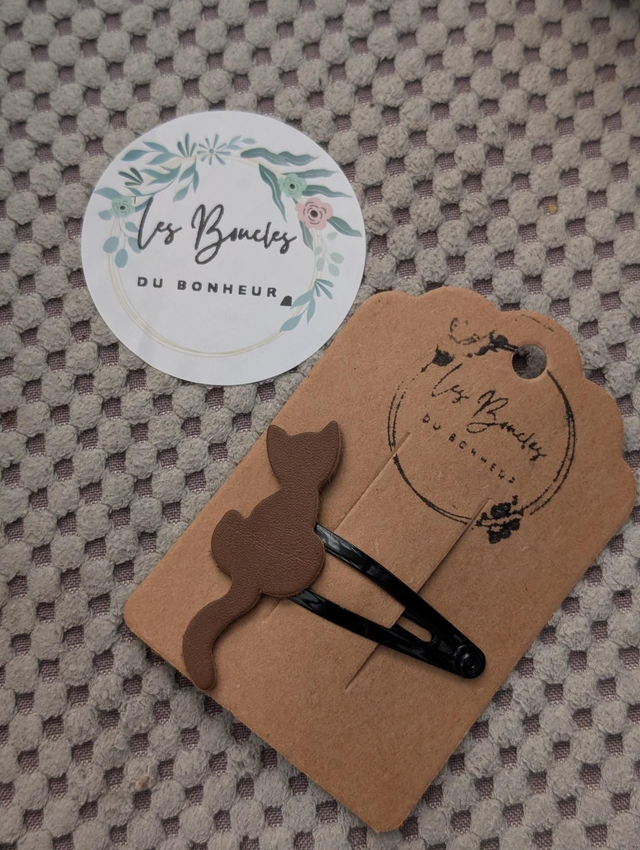 Barrette b041