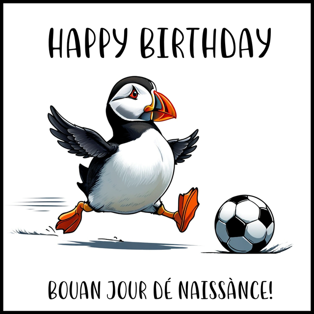 100 CARD - OCCASION BIRTHDAY PUFFIN FOOTBALL