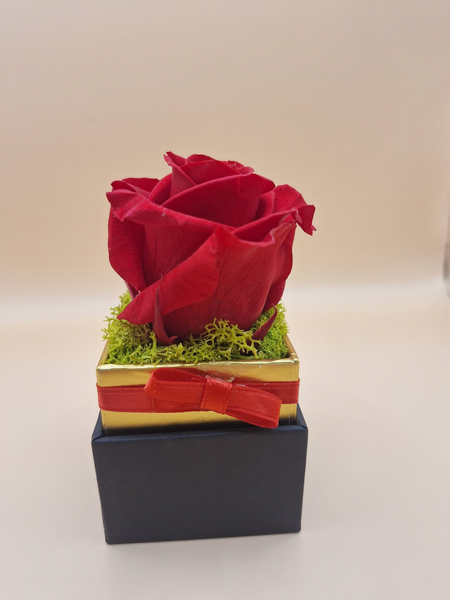 Rose en Écrin Parfumée "rose de jardin"