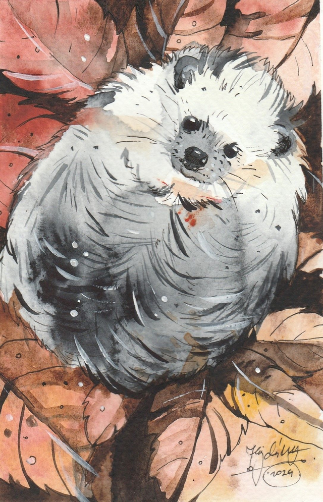 Képeslap, téli álomra készülő süni