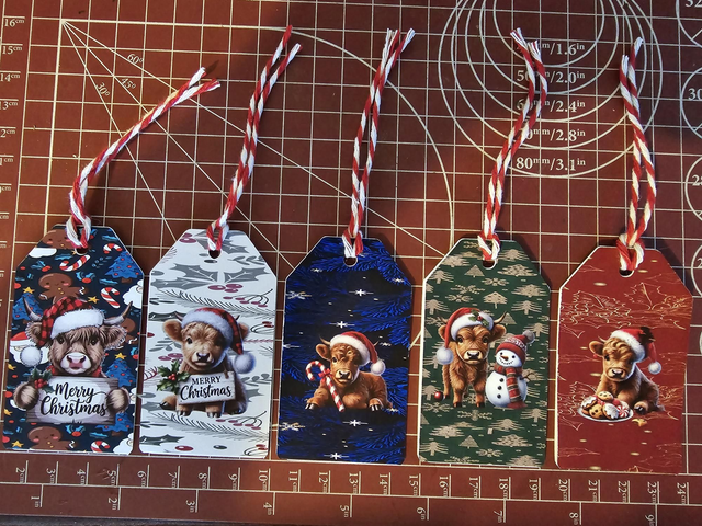 Gift Tag 5 set