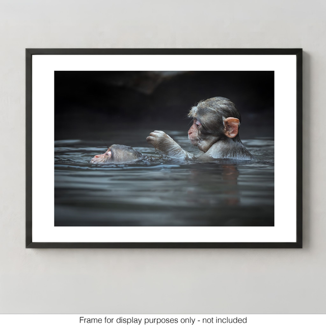 Snow Monkeys - Hot Spring Hair Care