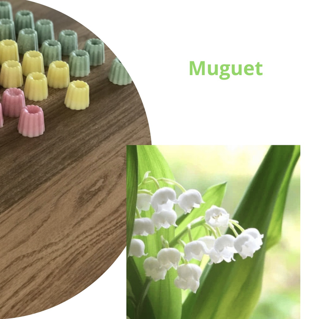 Muguet
