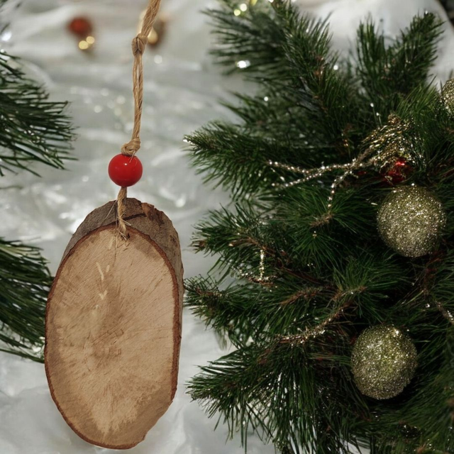 Robin Oval log slice