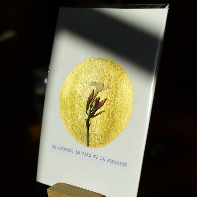 carte postale • je choisis la paix &amp; la fluidité