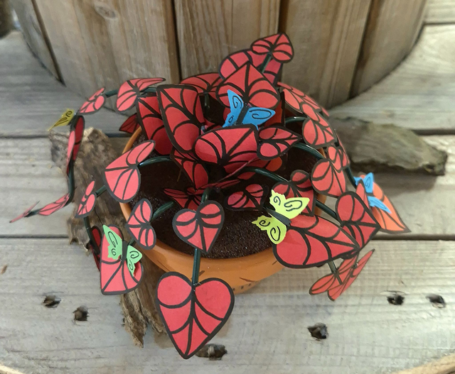 Baby plante &quot;Maman d&#039;amour