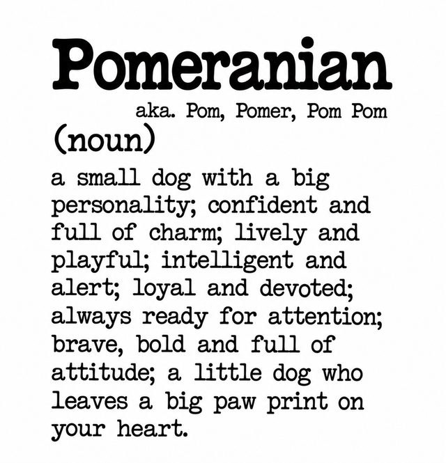 Dog Breed Definition Mug – Pomeranian | Funny Dog Lover Gift