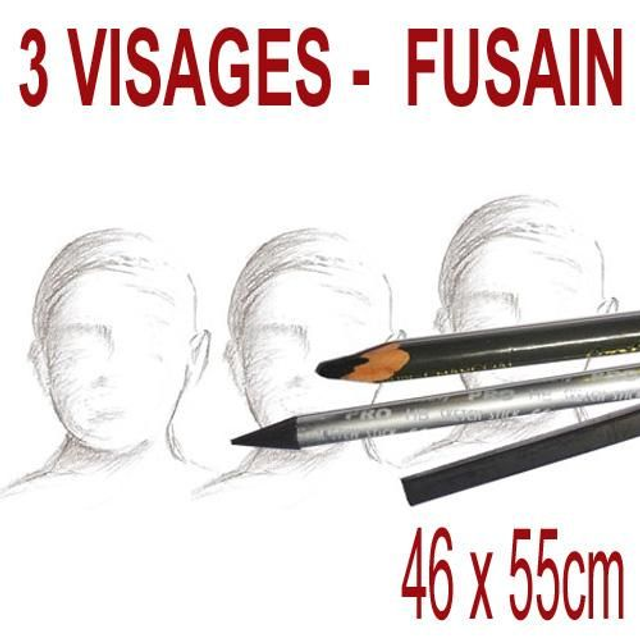 3 visages fusain- 46x55cm - 285€