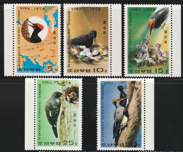 North Korea 1978 Birds,Woodpeckers Set MNH