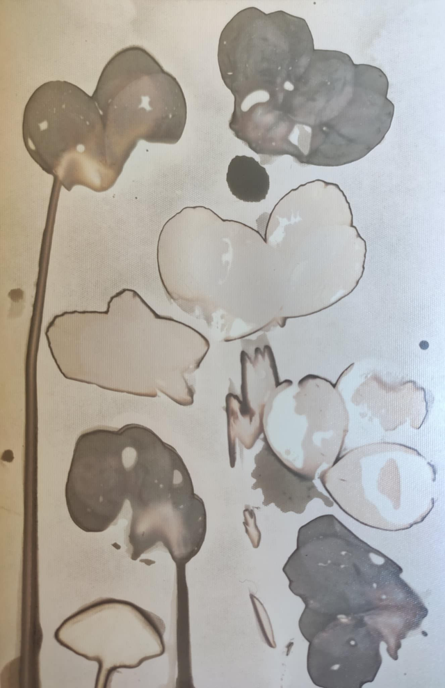 Bouquet d'automne – Cyclamens de Naples 2