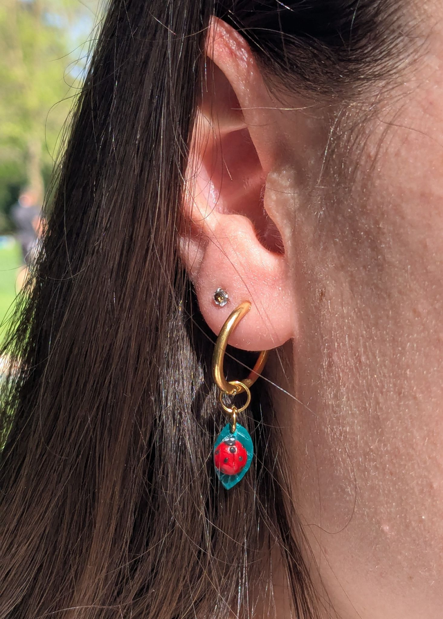 Charm coccinelle sur feuille