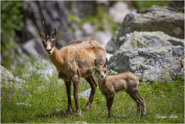 Photo sur toile 20 x 30