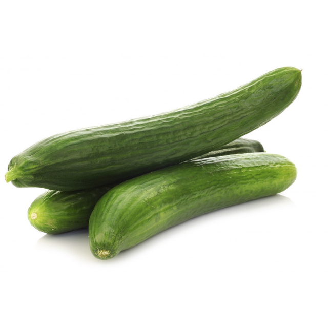 Concombre Bio