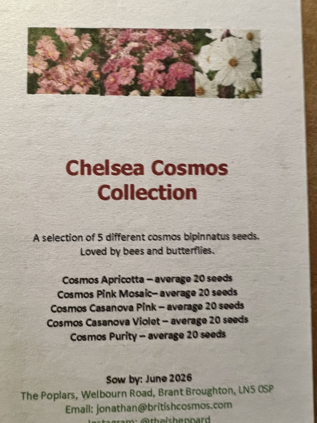 Chelsea Flower Show Cosmos Collection (Number 1)